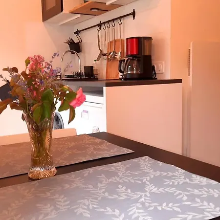 Apartamento De Charme Au Coeur D'uriage Les Bains Vaulnaveys-le-Haut